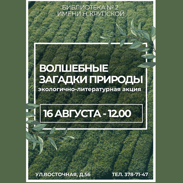 Волшебные загадки природы